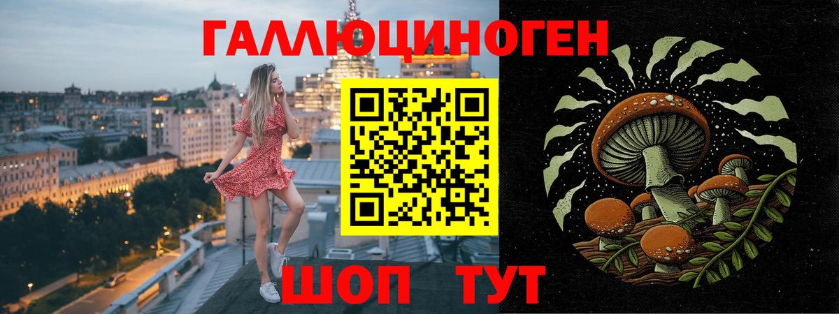 Псилоцибиновые грибы Psilocybe Саров